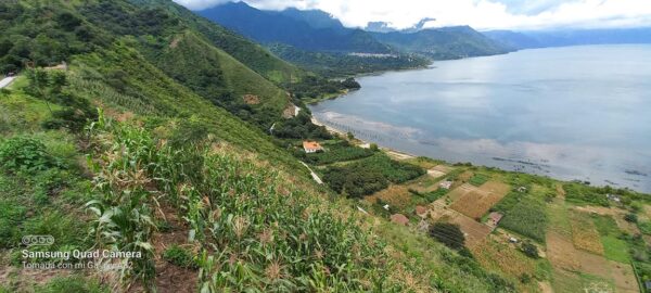 Excursión Privada Rostro Maya en San Juan La Laguna (Caminata Privada a la Nariz del Indio / Hike & Treking Indian Nose) - Imagen 19